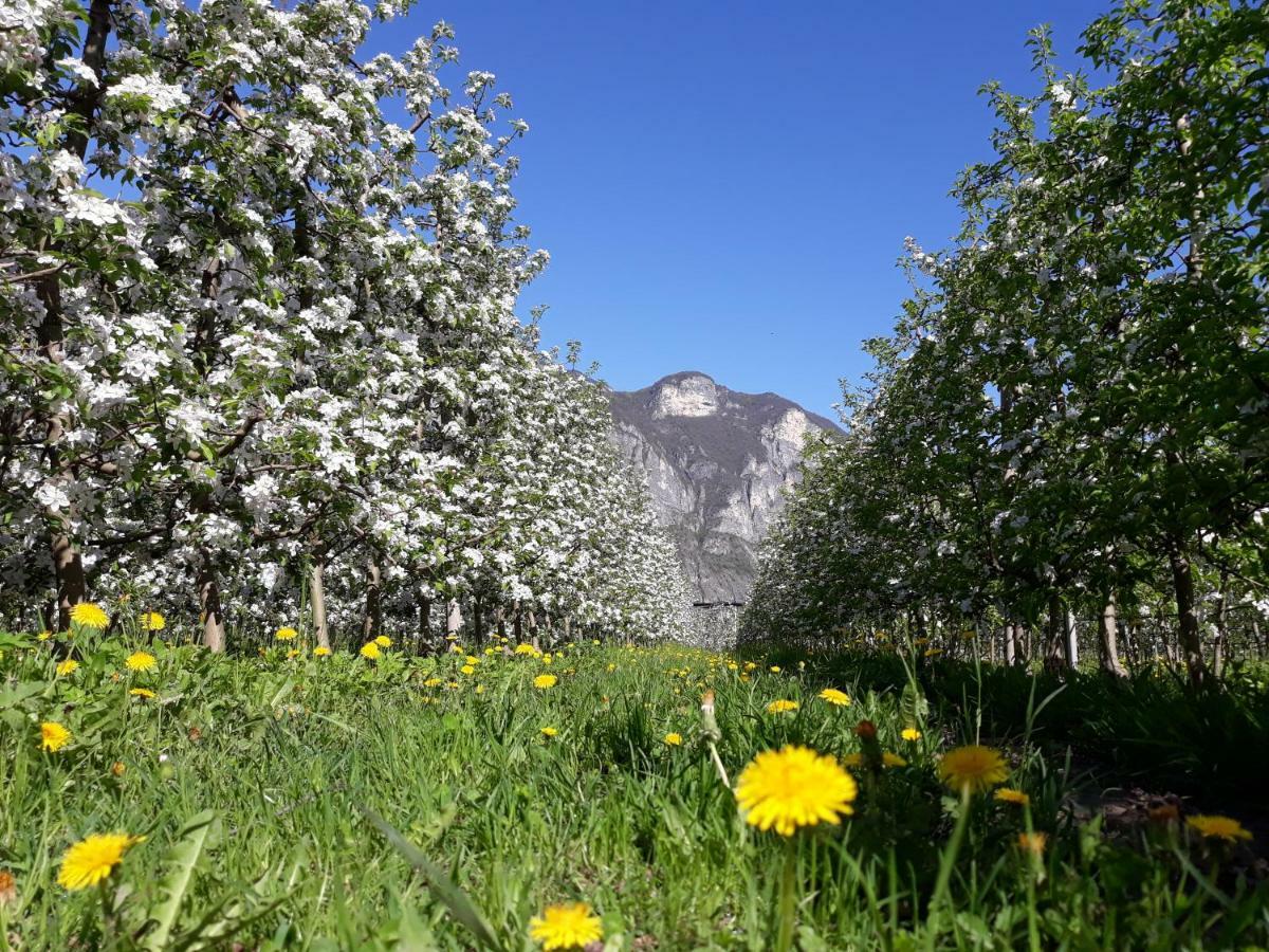 Agriturismo L' Isola Di Arturo Trento Luaran gambar